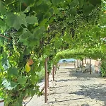 Podere Muracciolo 度假居 托斯卡纳