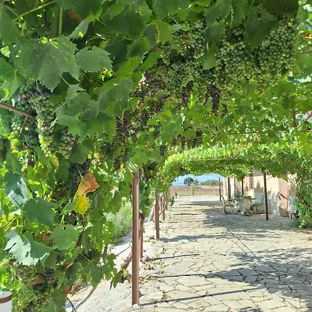 Podere Muracciolo Vakantiehuis Tuscania