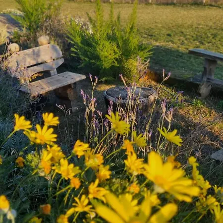 Podere Muracciolo Vakantiehuis