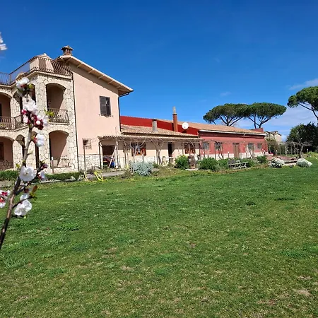 Podere Muracciolo *