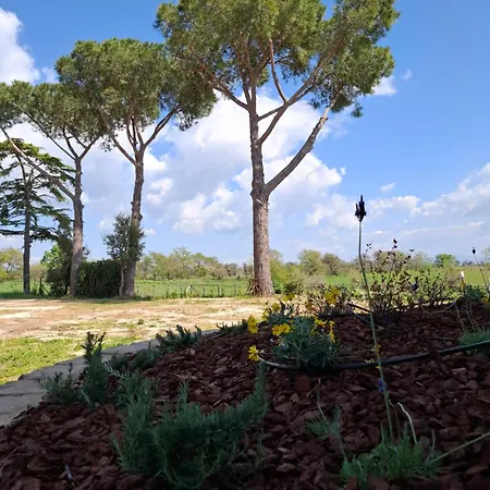 Podere Muracciolo Vakantiehuis *