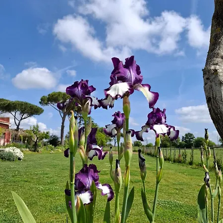 Podere Muracciolo Ferienhaus