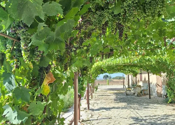 Podere Muracciolo Сasa de vacaciones Tuscania