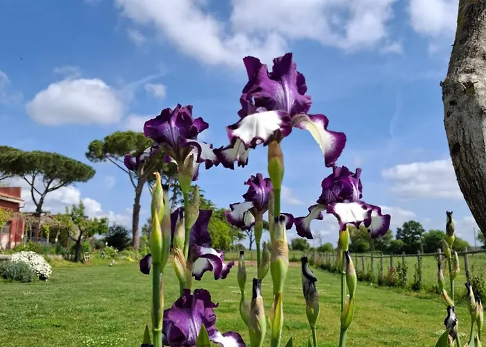 Podere Muracciolo Сasa de vacaciones