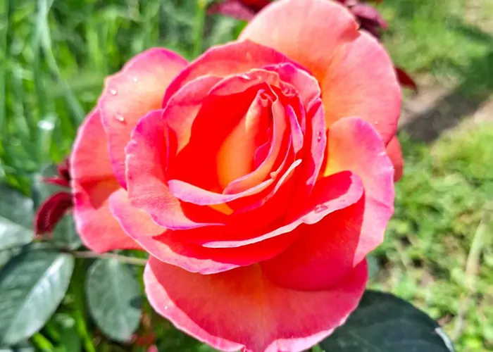 Podere Muracciolo Сasa de vacaciones *